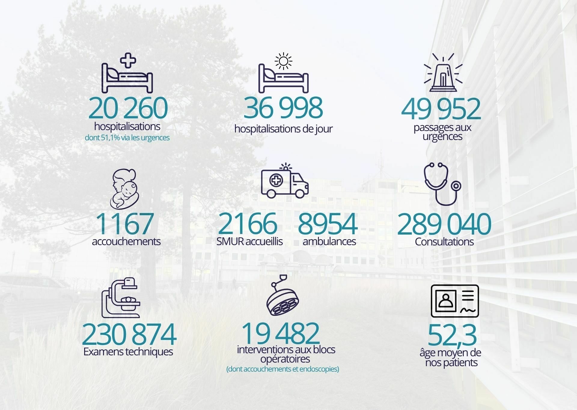 Rapport annuel 2025 chiffres