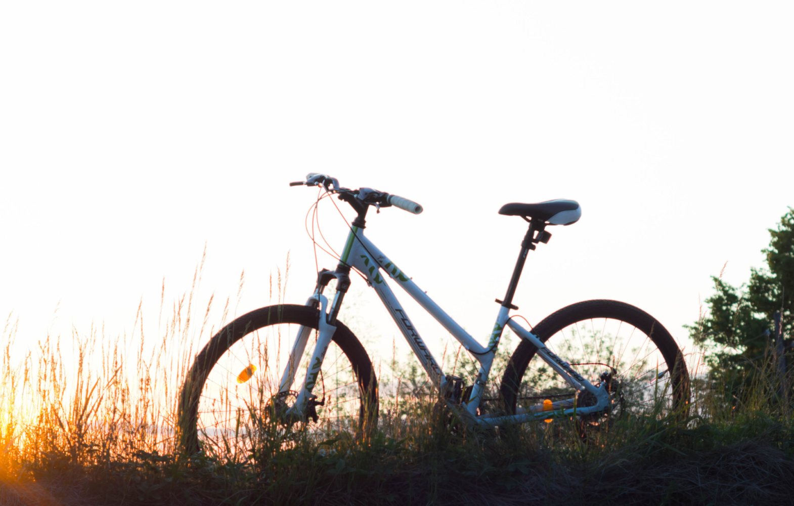 Printemps à vélo 1