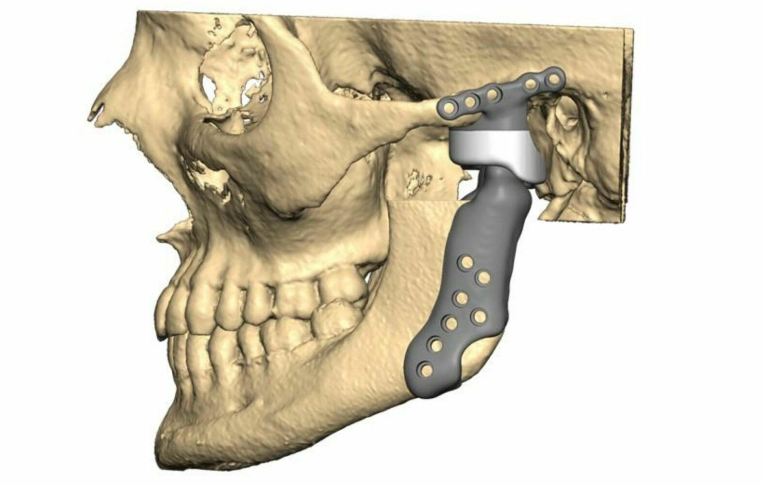 Taille craft photo banner